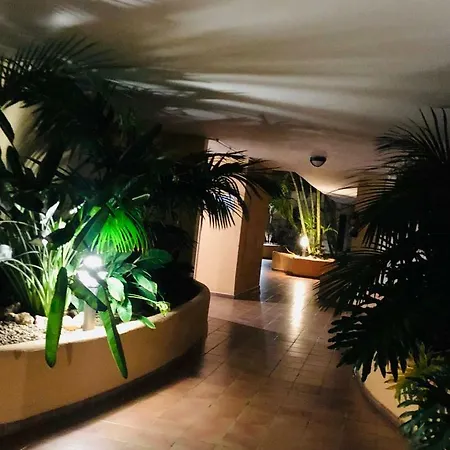 Dream View Parque Tropical Appartamento *